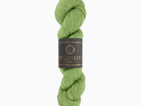 Lanka Exquisite 4PLY 100g 401 Eden West Yorkshire Spinners Sale