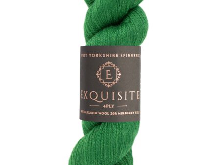 Lanka Exquisite 4PLY 100g 1130 Ivy West Yorkshire Spinners Online now