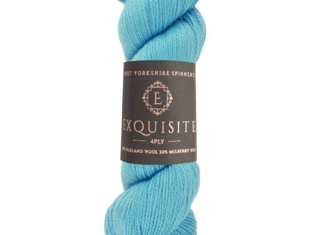 Lanka Exquisite 4PLY 100g 1129 Naples West Yorkshire Spinners Sale